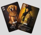 Flash Point: Fire Rescue – Veteran and Rescue Dog