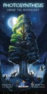 Photosynthesis: Under the Moonlight